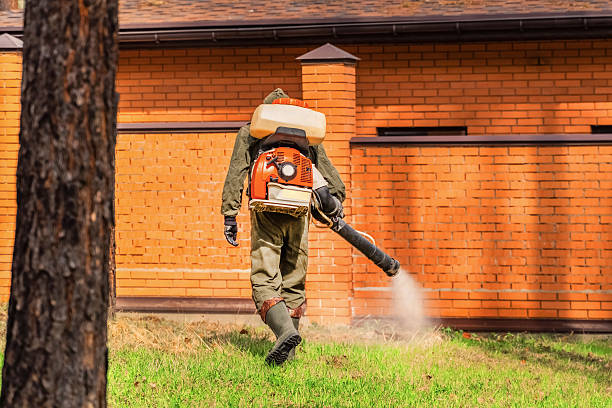 Trusted Bed Bug Control service in Graysville, AL - Nex Pest Control